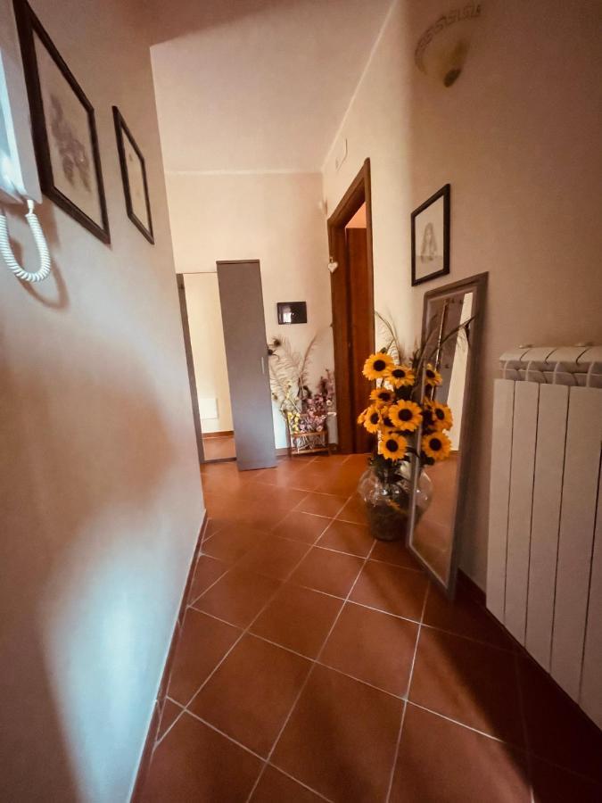 לינה וארוחת בוקר Ciorlano Da Nonna Pasqualina מראה חיצוני תמונה